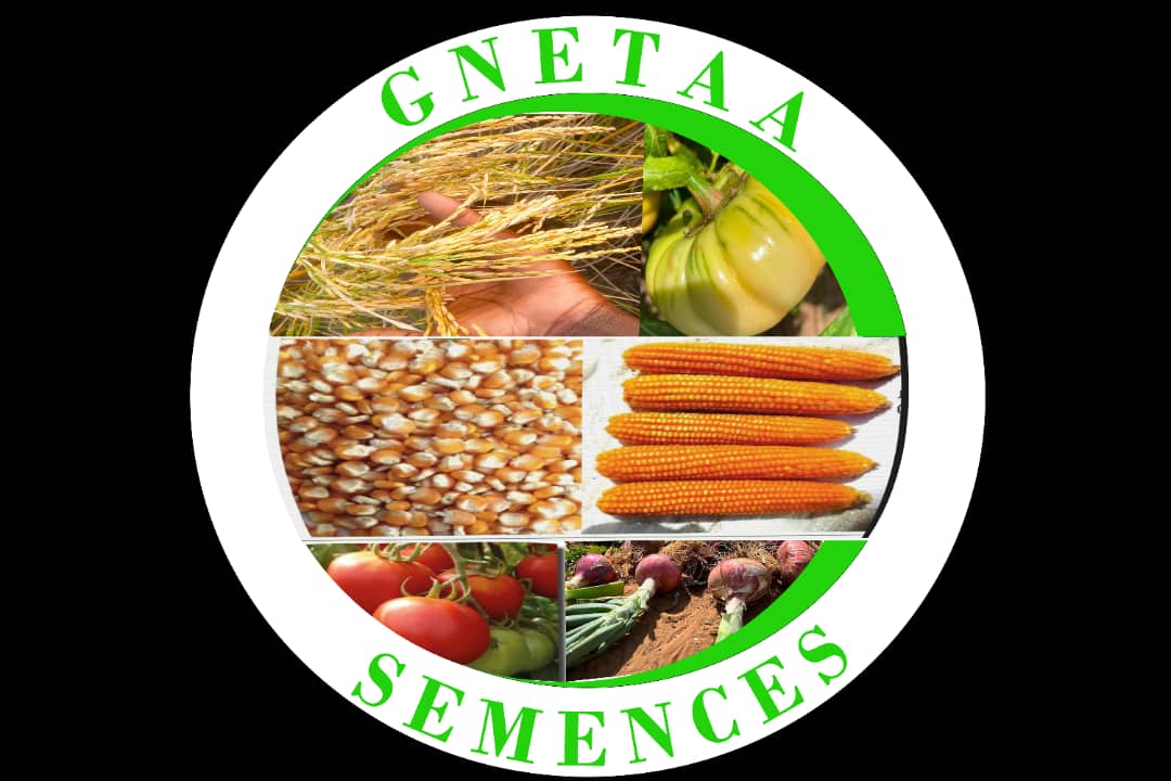 Logo GNEETA SEMENCES