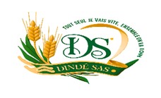 Logo DINDE-SAS