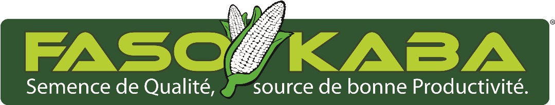 Logo FASO KABA